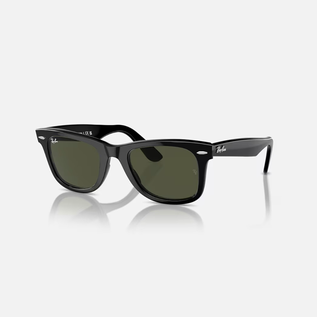 Classic Wayfarer Sunglasses – Black